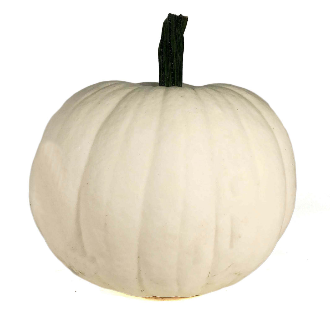 White Pumpkins