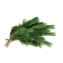 Load image into Gallery viewer, Boughs, White Pine, 3lb, Bunch
