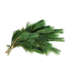 Boughs, White Pine, 3lb, Bunch