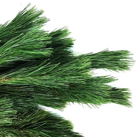 Boughs, White Pine, 3lb, Bunch