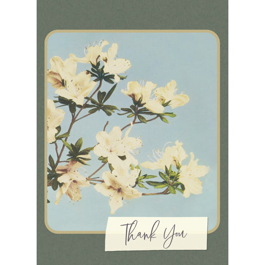 Thank You Card, Every Day Better