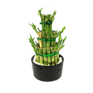 Bamboo Planter, Lucky Pagoda, 3-Tier, 5in