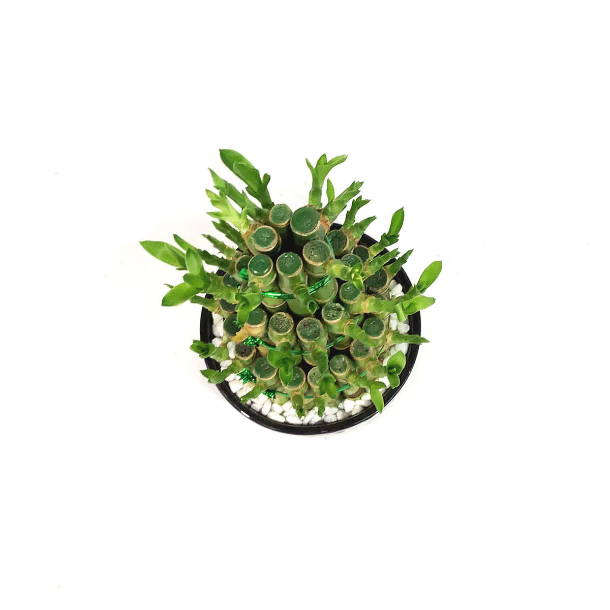 Bamboo Planter, Lucky Pagoda, 3-Tier, 5in