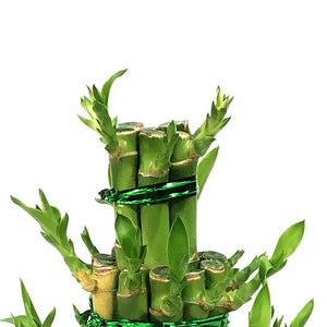 Bamboo Planter, Lucky Pagoda, 3-Tier, 5in