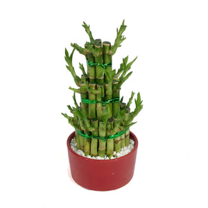 Bamboo Planter, Lucky Pagoda, 3-Tier, 5in