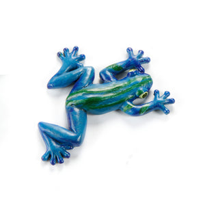 Blue/Green Frog Magnet, 6 Styles