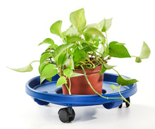 Load image into Gallery viewer, Planter Caddy, Plastic, Rolling, Bright Colors
