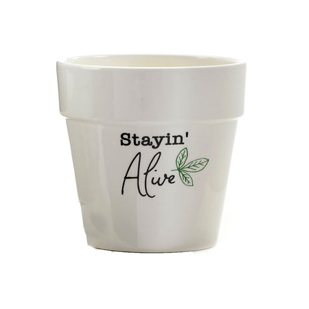 Pot, 6in, Ceramic, Home Grown Sentiment, 4 Styles