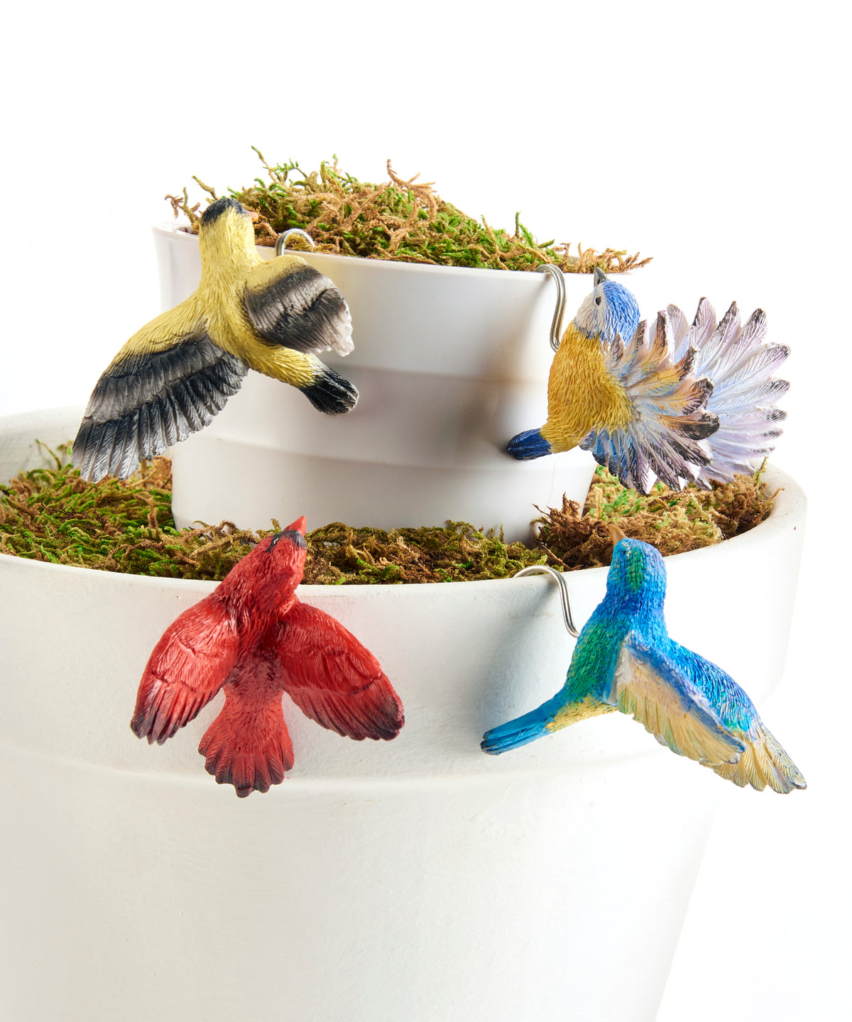 Bird in Flight Pot Hugger, 4 Assorted