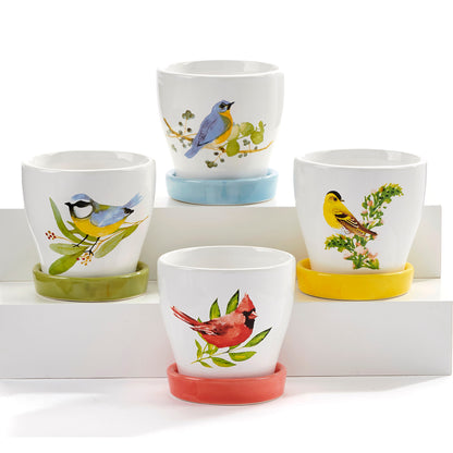 Pot, 3in, Ceramic, Watercolor Bird with Saucer