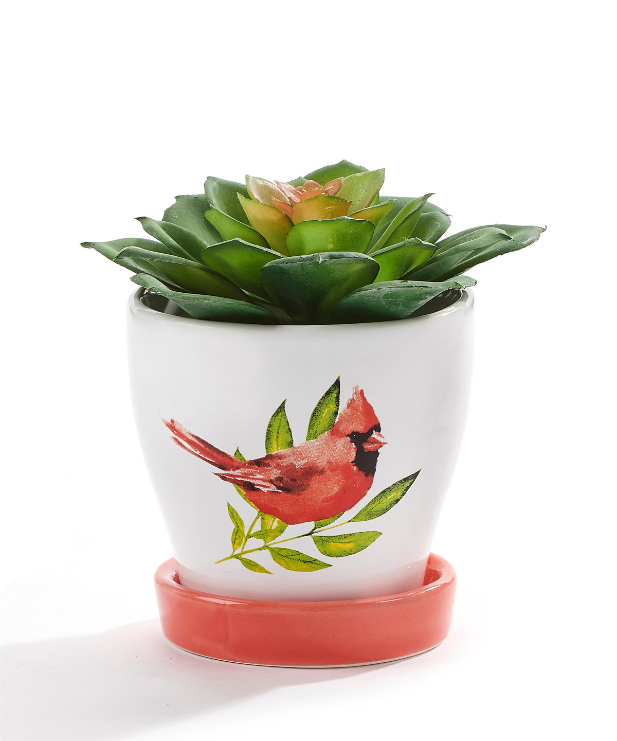Pot, 3in, Ceramic, Watercolor Bird with Saucer