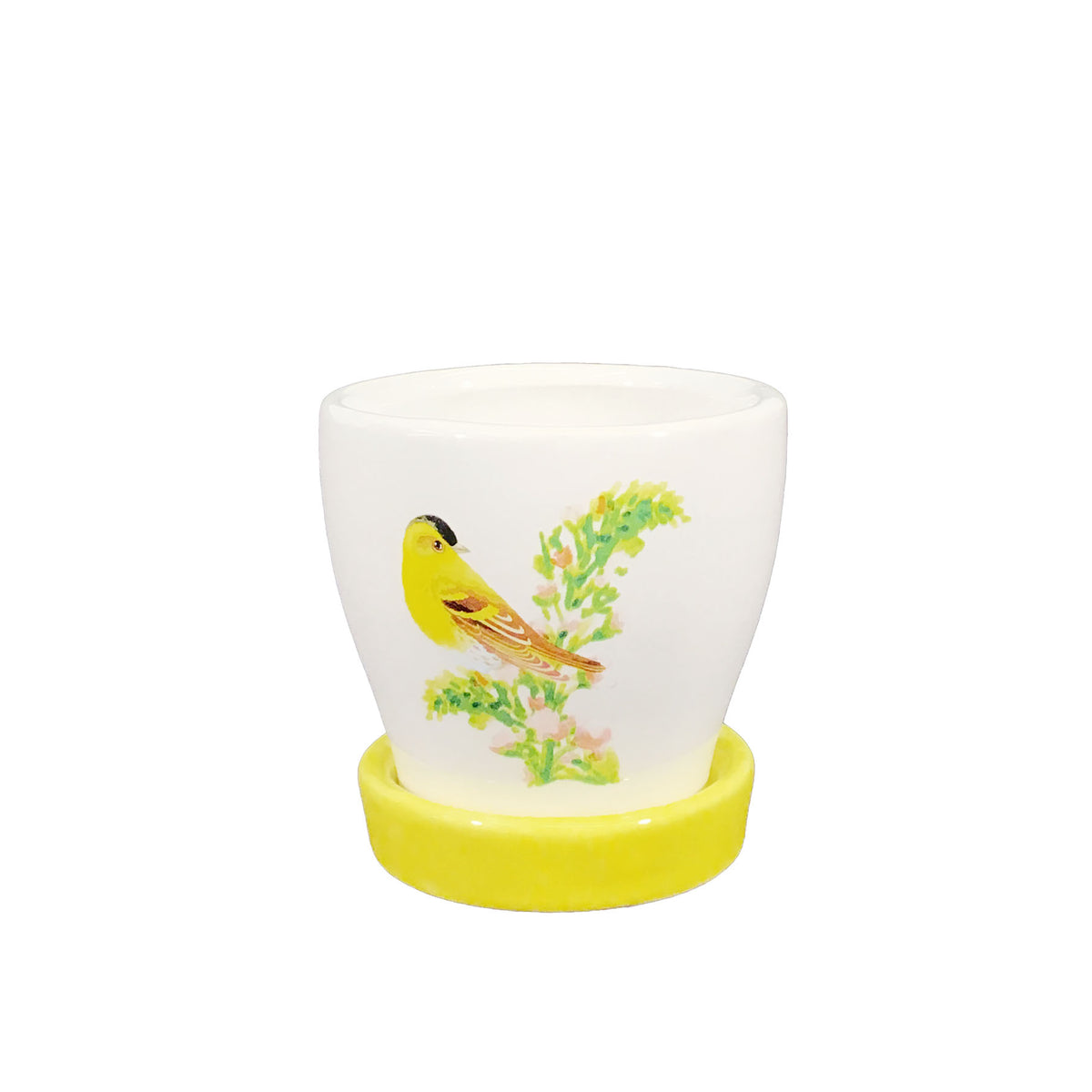 Pot, 3in, Ceramic, Watercolor Bird with Saucer