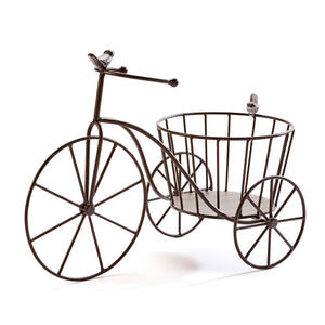 Brown Metal Tricycle Plant Stand with Birds