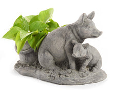 Load image into Gallery viewer, Up Country Pig - Mom &amp; Baby Planter, 10.5in
