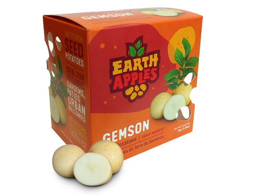 Seed Potato - Gemson, Earth Apples, 1kg Box