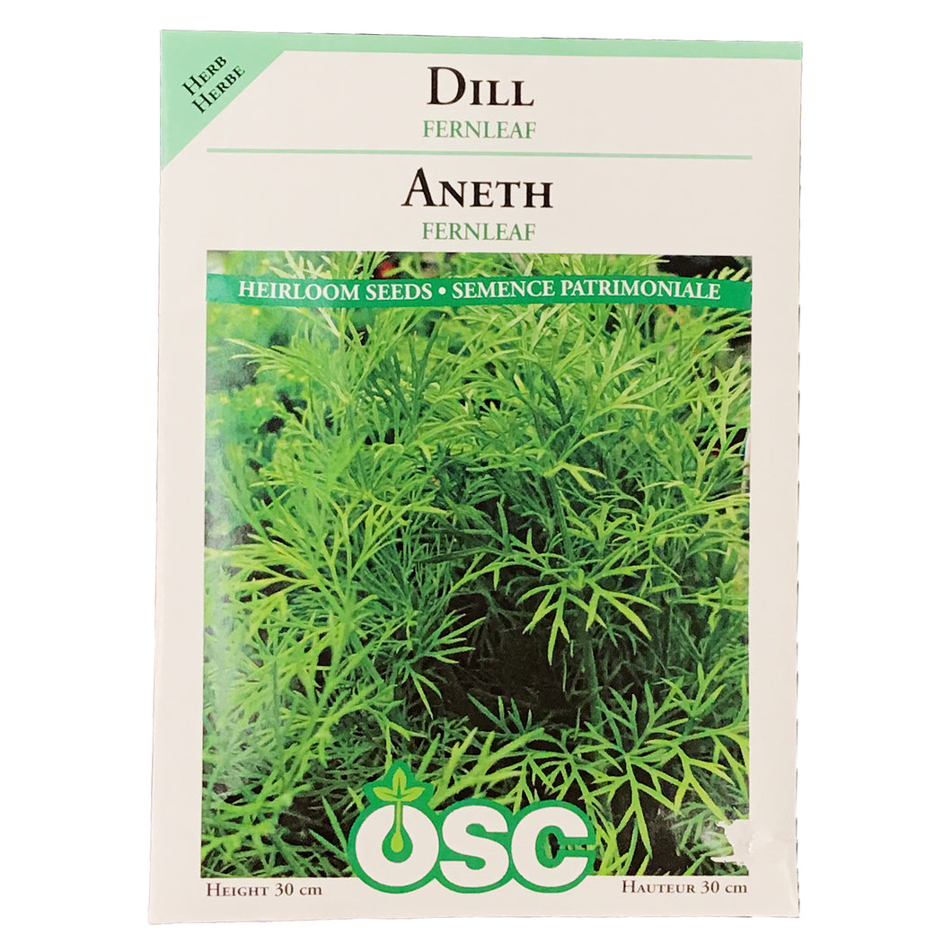 Dill - Fernleaf Seeds, OSC