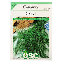 Load image into Gallery viewer, Caraway Seeds, OSC
