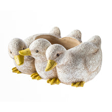 Load image into Gallery viewer, Planter, Resin, Duckling Triplets
