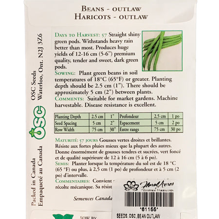 Bean Bush - Outlaw Hybrid Seeds, OSC