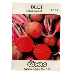 Beetroot - Bull's Blood Seeds, OSC