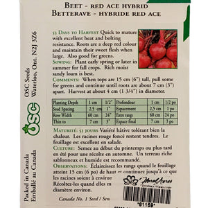 Beetroot - Red Ace Seeds, OSC