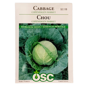 Cabbage - Copenhagen Market Seeds, OSC