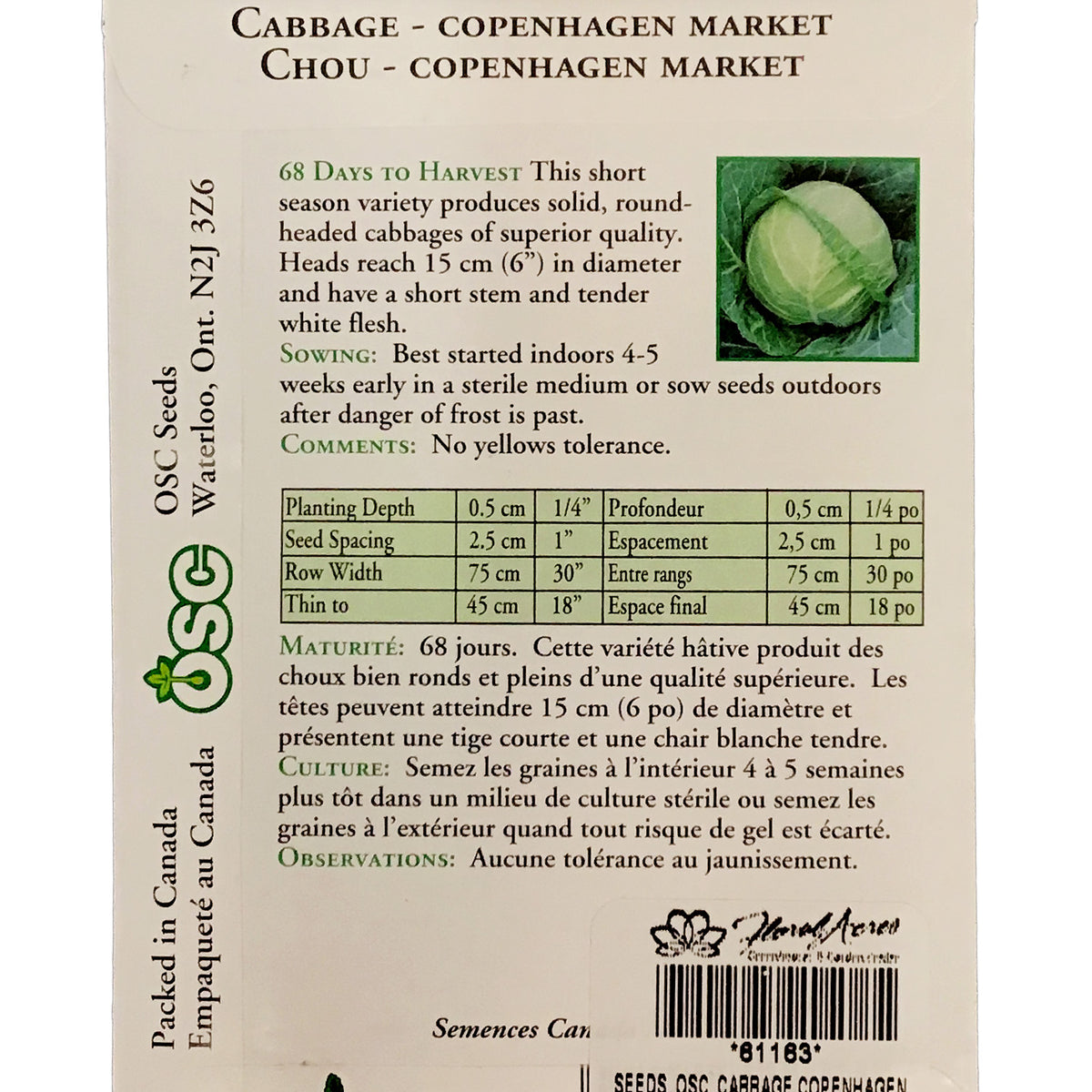 Cabbage - Copenhagen Market Seeds, OSC