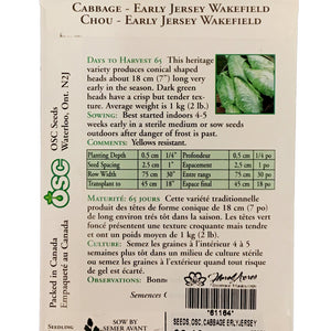 Cabbage - Early Jersey Wakefield Seeds, OSC