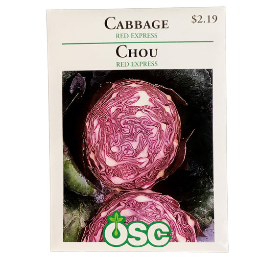Cabbage - Red Express Seeds, OSC