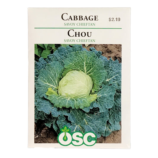 Cabbage - Savoy Chieftan Seeds, OSC