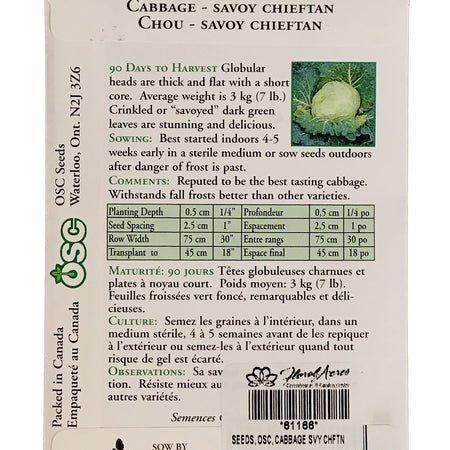 Cabbage - Savoy Chieftan Seeds, OSC