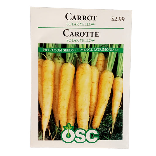 Carrot - Solar Yellow Seeds, OSC
