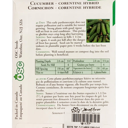 Cucumber - Corentine Seeds, OSC