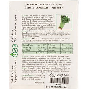 Greens - Mitsuba Japanese Parsley Seeds, OSC