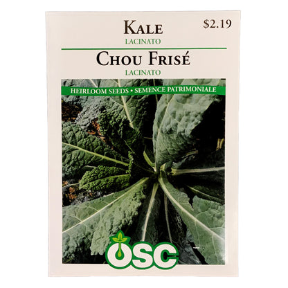 Kale - Lacinato Seeds, OSC