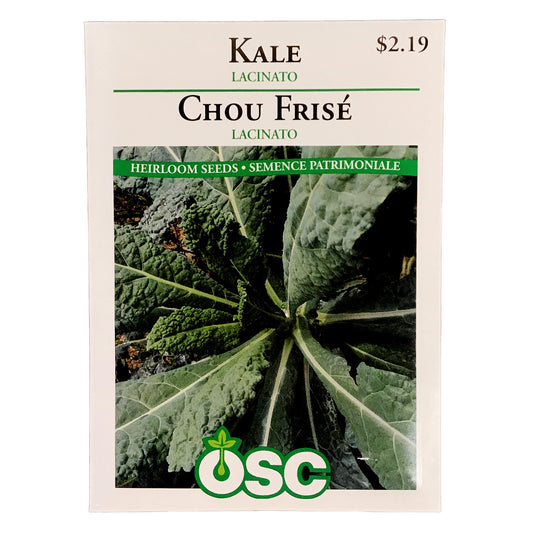 Kale - Lacinato Seeds, OSC