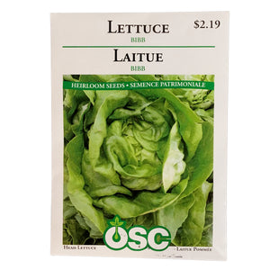 Lettuce - Bibb Seeds, OSC