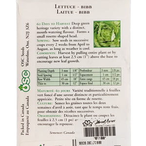 Lettuce - Bibb Seeds, OSC