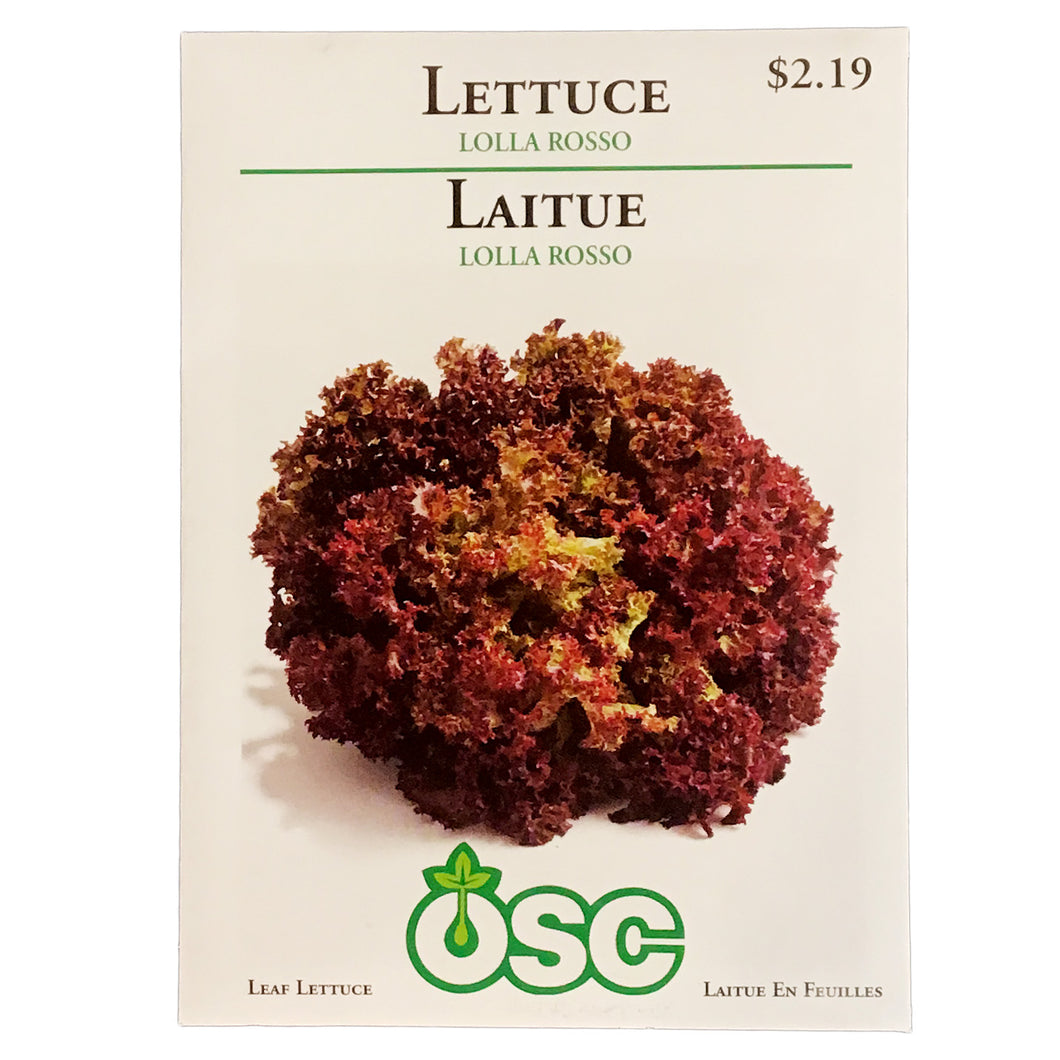 Lettuce - Lolla Rossa Seeds, OSC