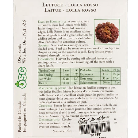 Lettuce - Lolla Rossa Seeds, OSC