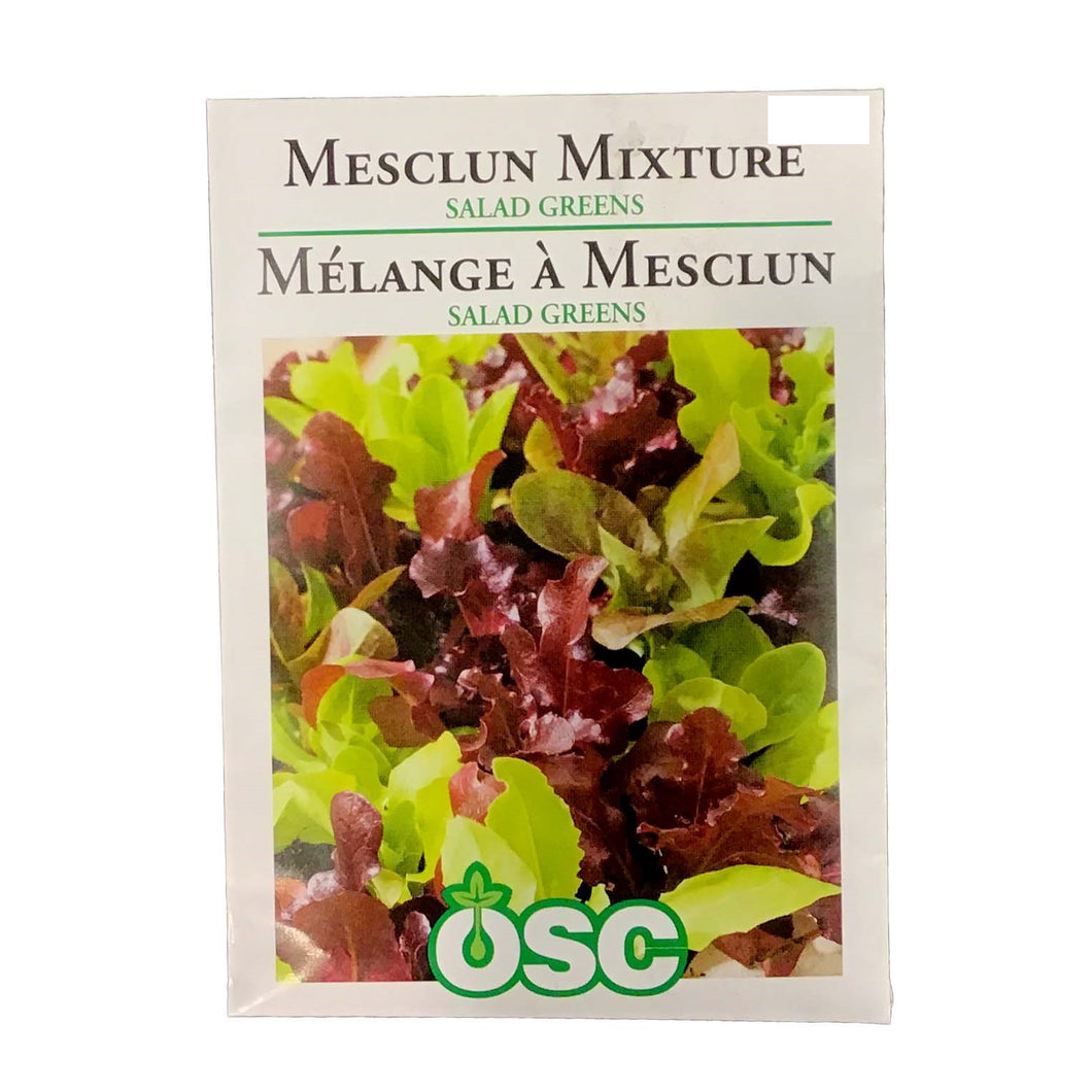 Greens - Mesclun Mixture Salad Seeds, OSC