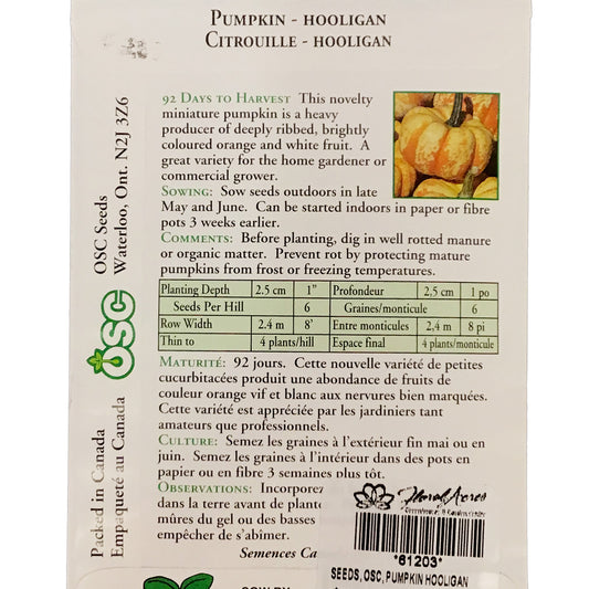 Pumpkin - Hooligan Seeds, OSC