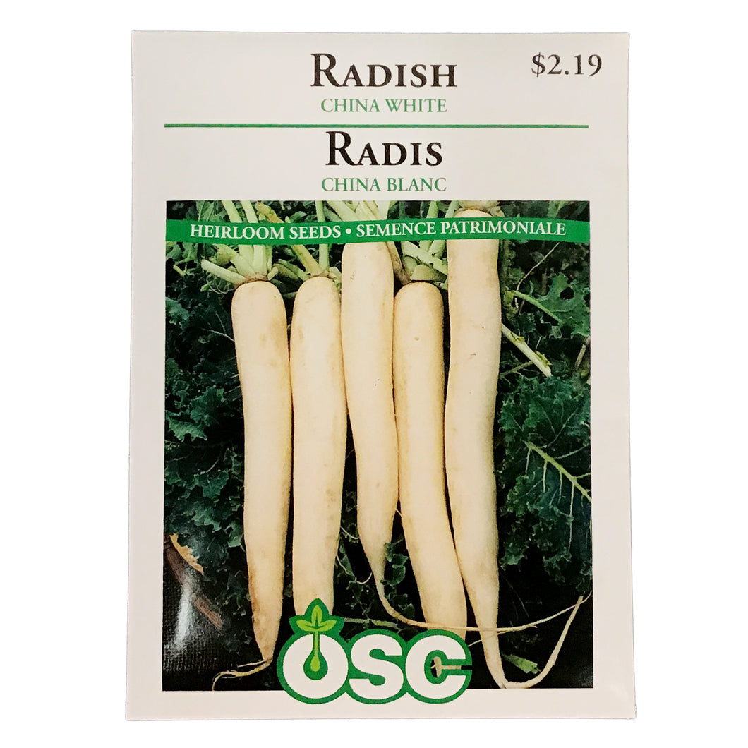Radish - China White Seeds, OSC