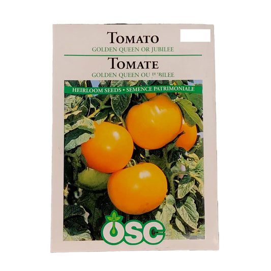 Tomato - Golden Queen or Jubilee Seeds, OSC