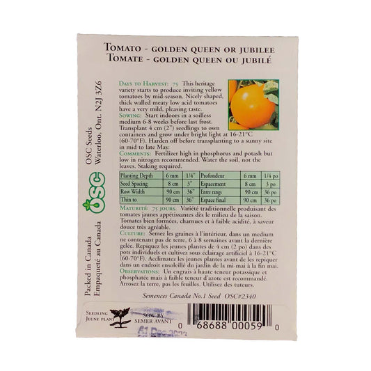 Tomato - Golden Queen or Jubilee Seeds, OSC