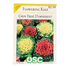 Load image into Gallery viewer, Flowering Kale - Bold Seeds, OSC
