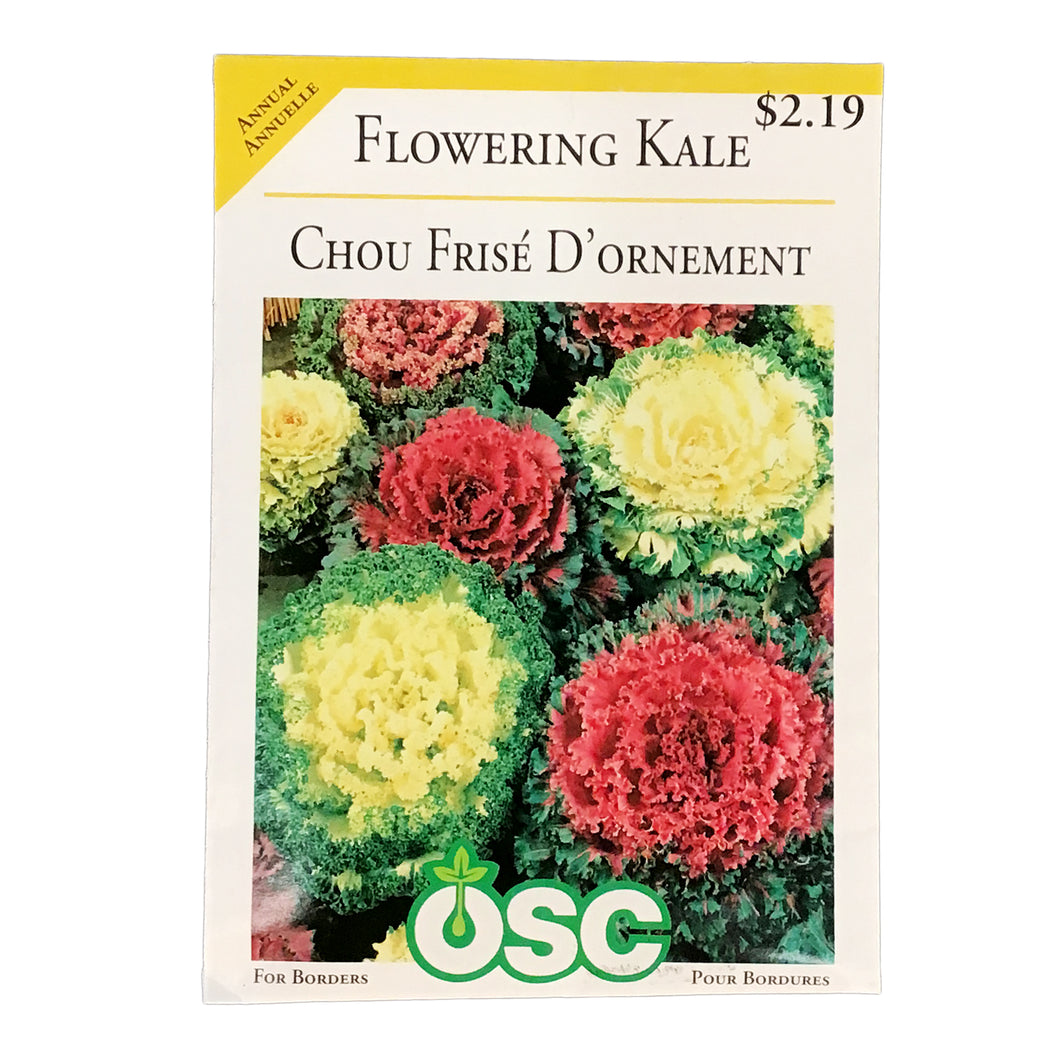 Flowering Kale - Bold Seeds, OSC