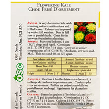 Load image into Gallery viewer, Flowering Kale - Bold Seeds, OSC
