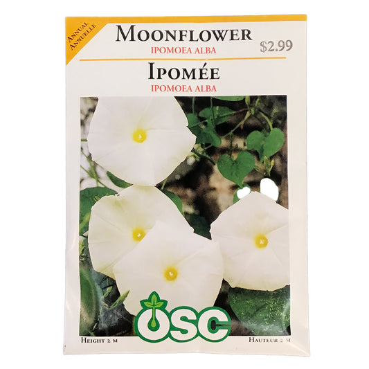 Ipomoea - Moonflower Seeds, OSC