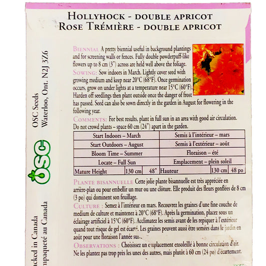 Hollyhock - Double Apricot Seeds, OSC